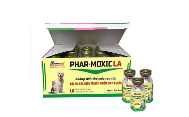 Phar-Moxicla đặc trị bệnh chó mèo nôn mửa do vi khuẩn