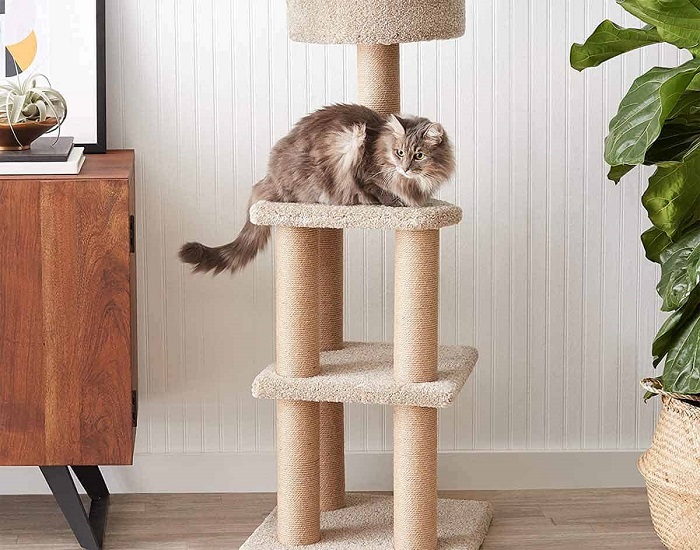 Nhà cây cho mèo có công dụng gì?