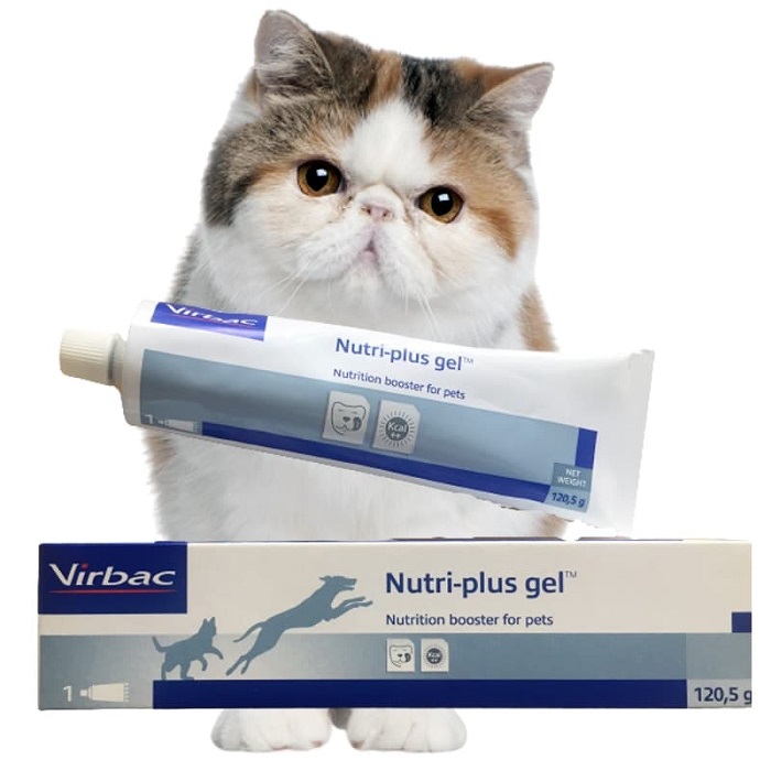 Gel dinh dưỡng Virbac - Nutri Plus