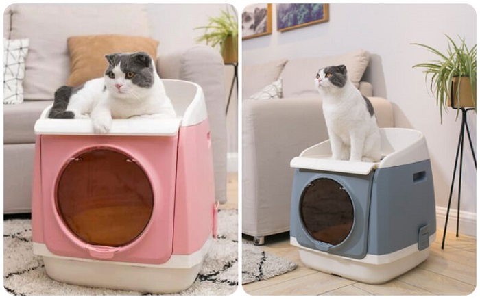 Nhà vệ sinh thiết kế cho mèo Tomcat
