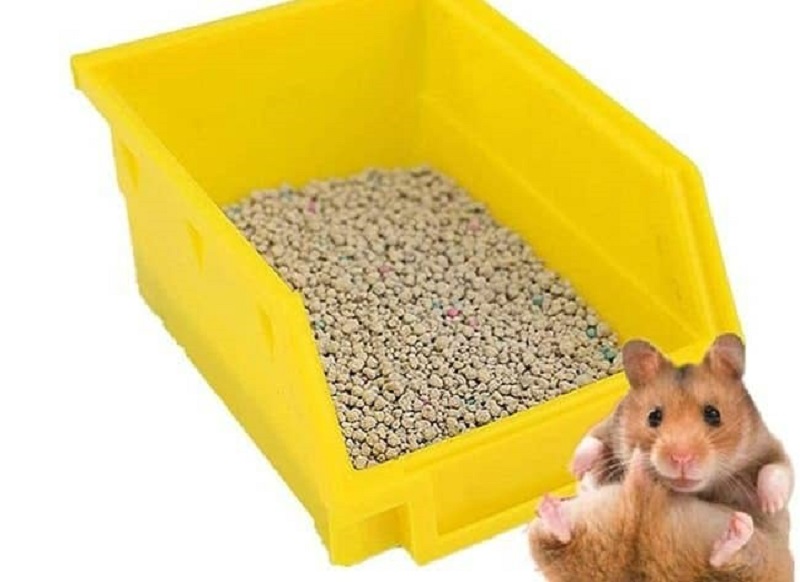 Cách lót chuồng cho Hamster hiệu quả